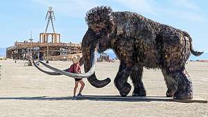 In the Embrace of the Woolly Mammoth